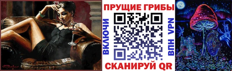 Купить  Павловский Посад  Галлюциногенные грибы мухоморы 